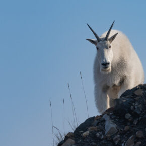 2026 Mine Reclamation Symposium Coming Soon