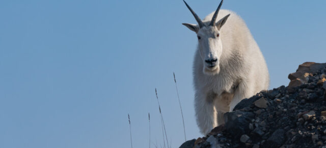 2026 Mine Reclamation Symposium Coming Soon